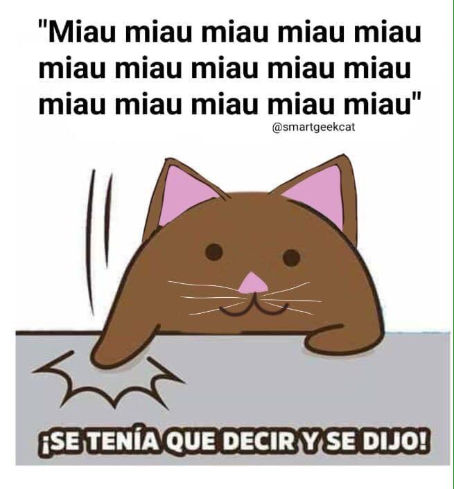 Un gato también dijo miau miau miau