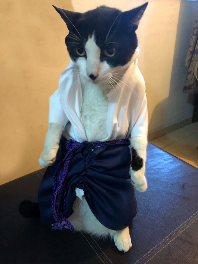 Sasuke-Cosplay-Gato