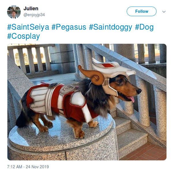 Saint Seiya: El Caballero de Pegaso consigue un adorable cosplay