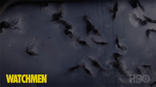 Calamares en Watchmen