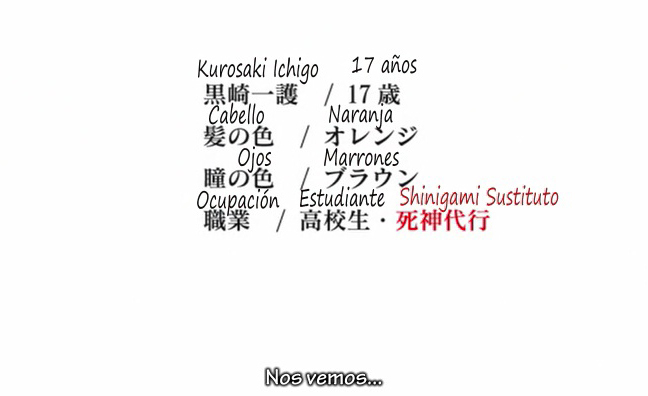 Final del anime de Bleach