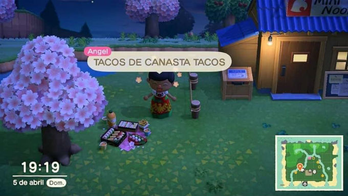 Tacos-de-Canasta-Animal