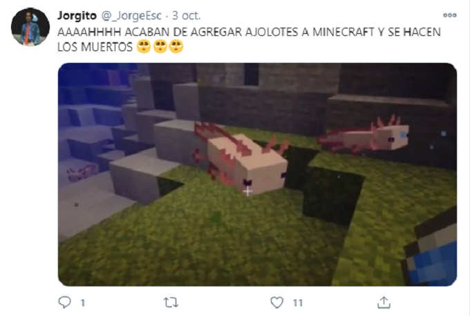 Tweet de Minecraft sobre Ajolotes
