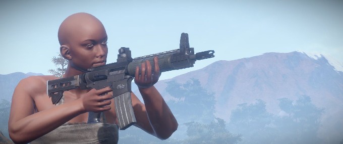 rifle lr-300 de Rust