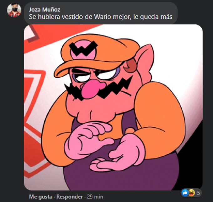 Meme Wario Mario