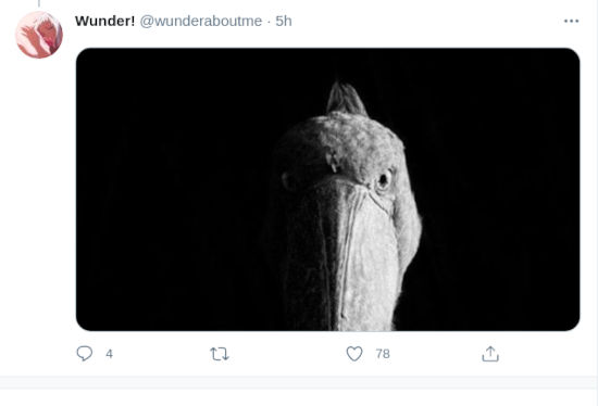 Así ‘celebraron’ los fans el cumpleaños de Gabi de Shingeki no Kyojin